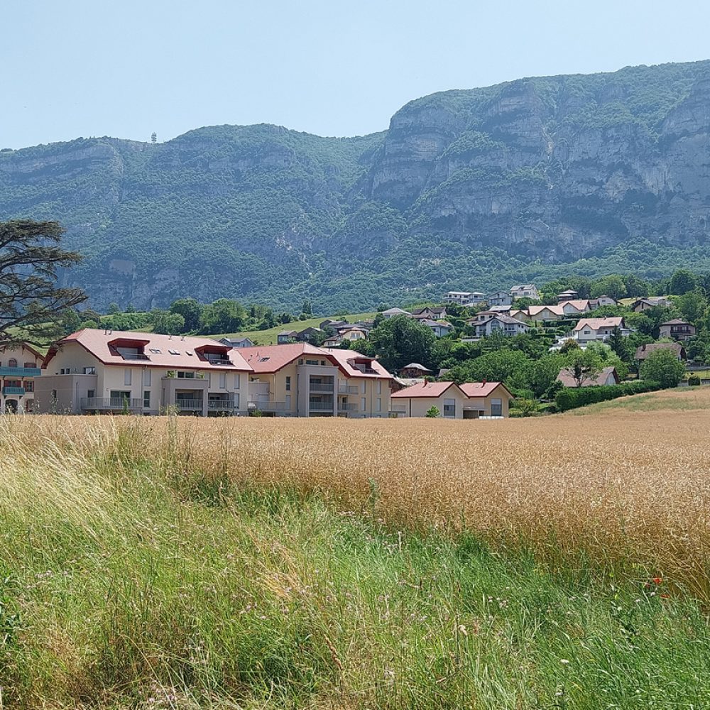 DOMAINE ILIA BOSSEY 1