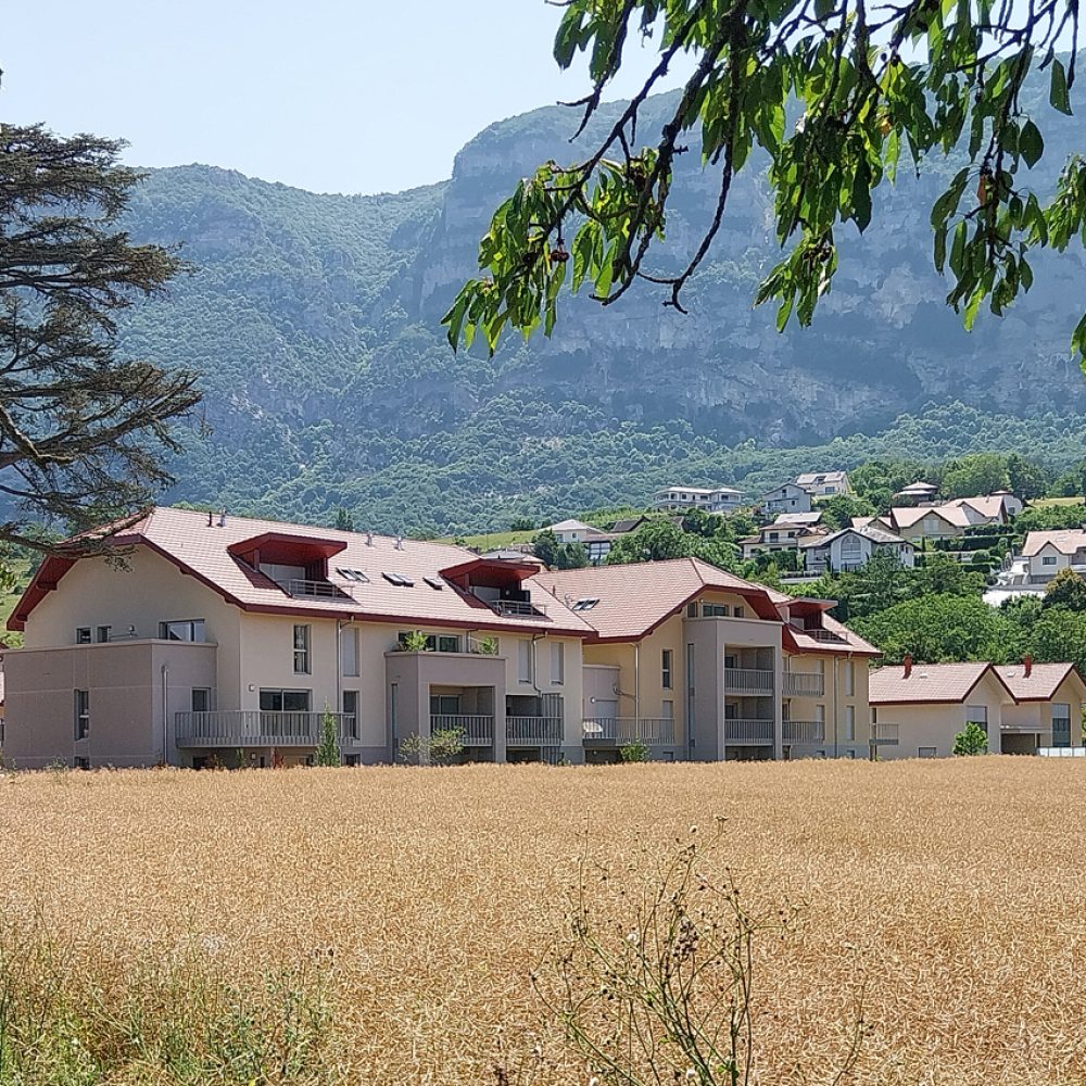 DOMAINE ILIA BOSSEY 2